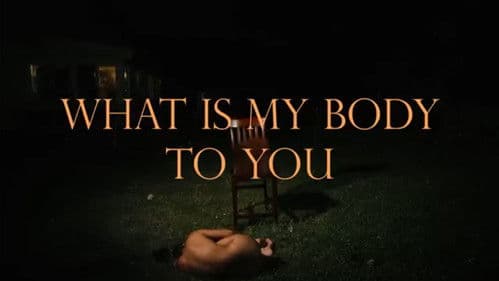 What Is My Body To You? Bild 1