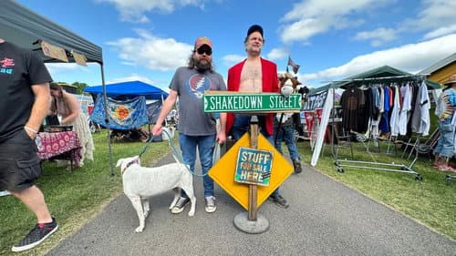 My Dead Summer Bild 2