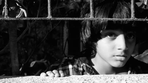 A Billion Colour Story Bild 1