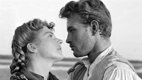 Die Mühle am Po Bild 4