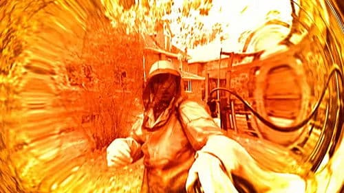 Swarmed - Das tödliche Summen Bild 4