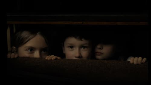 Misericordia - Was wir uns antun Bild 1