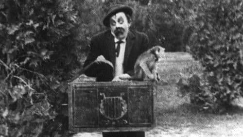 Do-Re-Mi-Boom! Bild 1