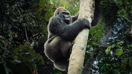 Giganten des Tierreichs Bild 2