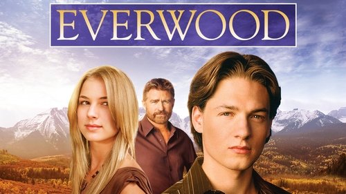 Everwood Bild 2