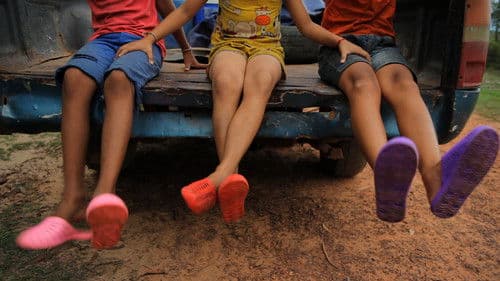 Talking to the Trees Bild 1