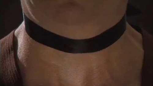 Vanished! A Video Seance Bild 1