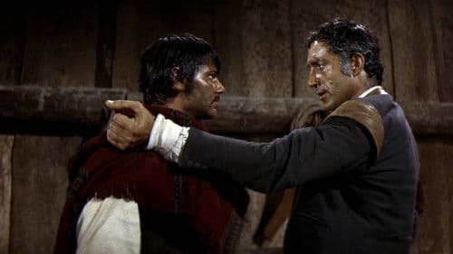 Rocco - der Einzelgänger von Alamo Bild 7