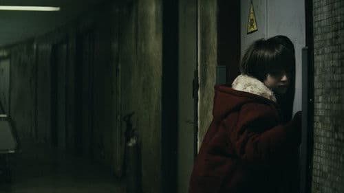 Fase terminal Bild 2