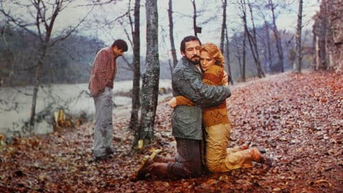 Herhangi Bir Kadın Bild 4