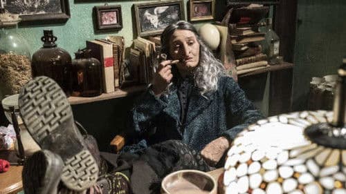 Unsere Lehrerin, die Weihnachtshexe Bild 5