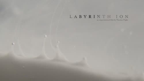 Labyrinth Ion Bild 1