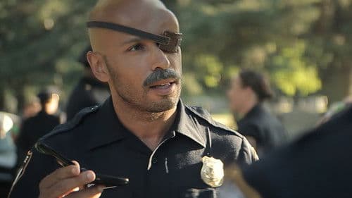 Wrong Cops, The Series Bild 1