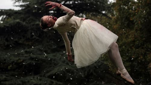 Livid - Das Blut der Ballerinas Bild 2