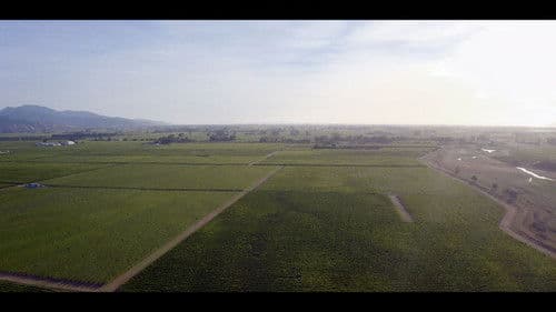 A Seat at the Table Bild 3