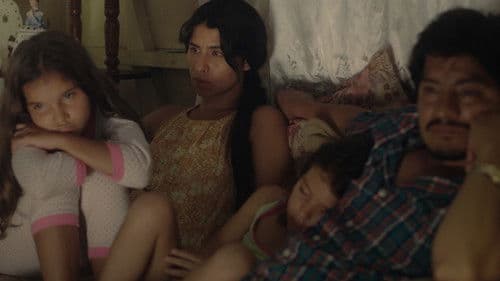 El despertar de las hormigas Bild 3