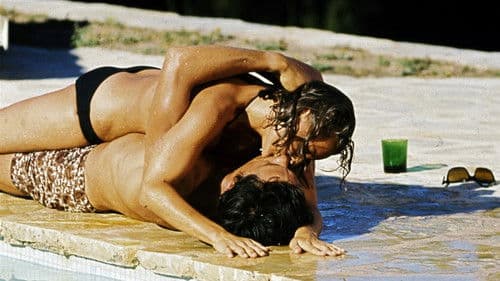 Der Swimmingpool Bild 3