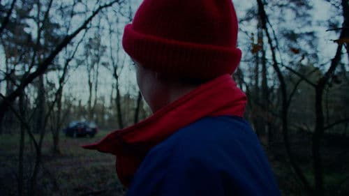 Die Amsel auf dem Ast Bild 1