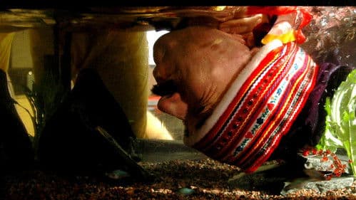 Kill Buljo: The Movie Bild 6