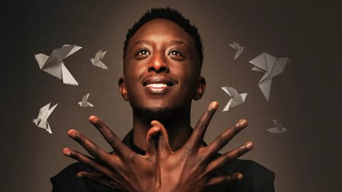 Ahmed Sylla - Origami Bild 2