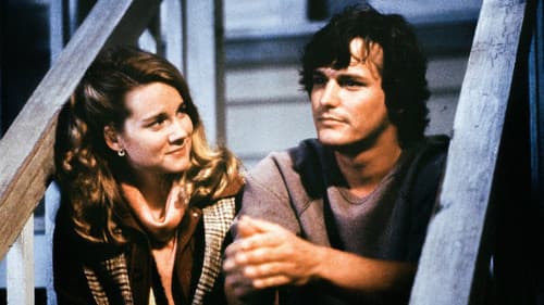 Tales of the City Bild 5