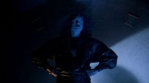 Lady Terminator Bild 8