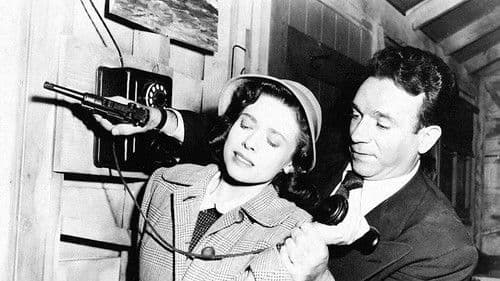 Never Trust a Gambler Bild 3