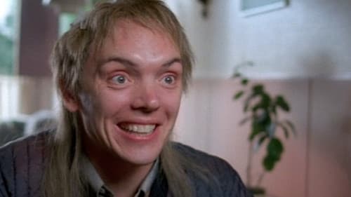 Polle Fiction Bild 4