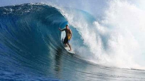 A Fly in the Champagne Bild 1