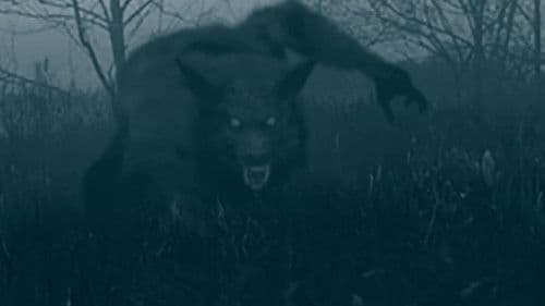 The Bray Road Beast Bild 2