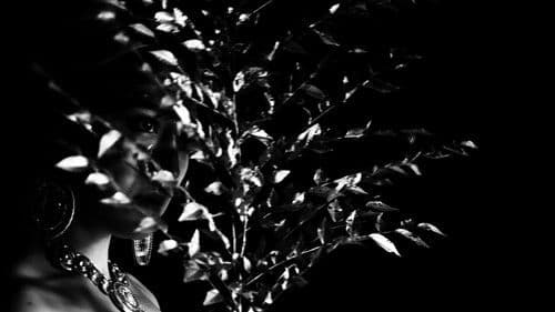 Мин кыял Bild 2