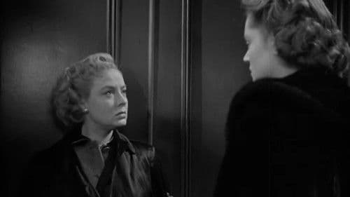 Hoher Einsatz Bild 1