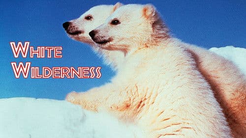 Weiße Wildnis Bild 4
