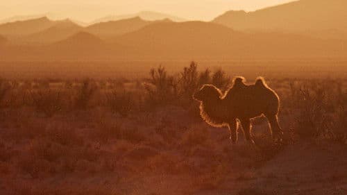 Tierische (R)Evolution Bild 3