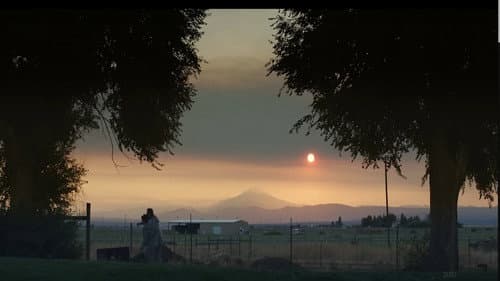 Souls of Totality Bild 1
