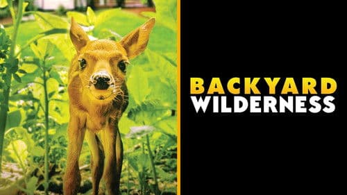 Backyard Wilderness Bild 3