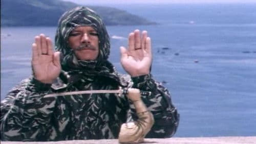 Ninja Terminator Bild 7