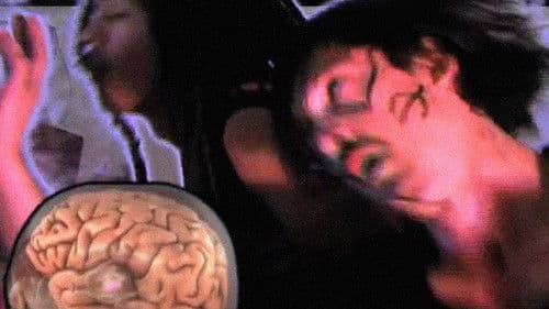 Write a Book About It Bild 1