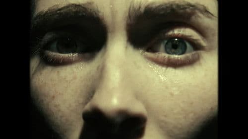 Playland: A Dream-O-Vision Experience Bild 6