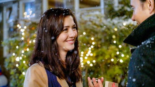 Eine Buchhandlung zu Weihnachten 2 Bild 2