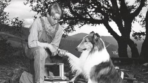 The Sun Comes Up Bild 2