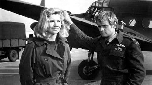 Moskito-Bomber greifen an Bild 2