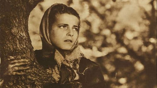 Cielo sulla palude Bild 2