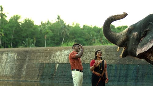 கட்ஸ் Bild 4