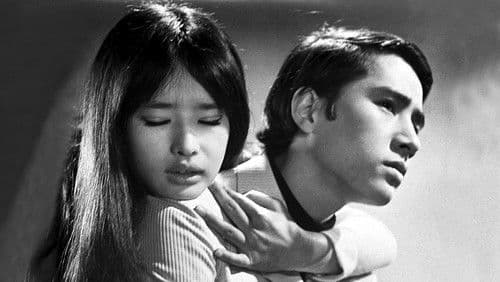 空いっぱいの涙 Bild 1