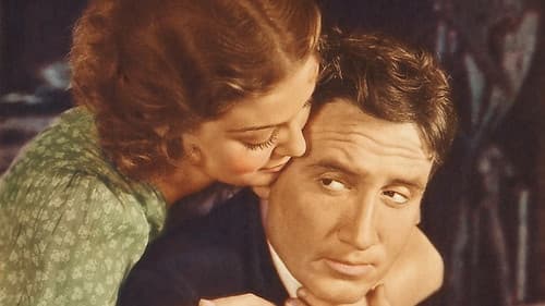 Ein Schloß in New York Bild 2