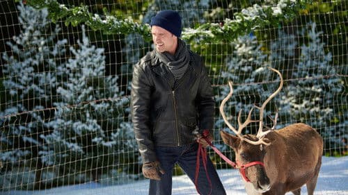 Im Norden strahlt der Weihnachtsstern Bild 6