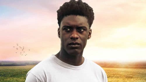 The Last Tree Bild 5