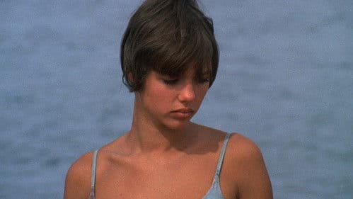 Die Sammlerin Bild 2