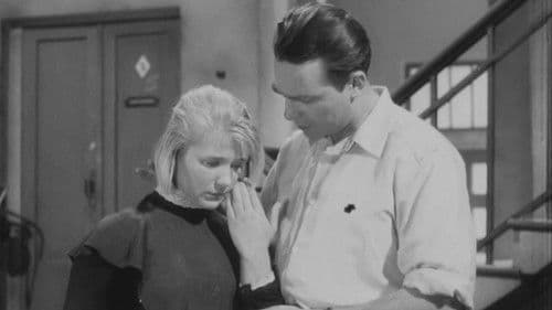 Дикая собака Динго Bild 1